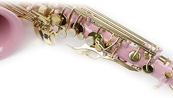 Amazon.co.jp: アルトサックス楽器、プロフェッショナル演奏楽器